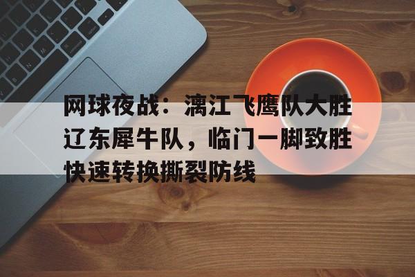 爱游戏体育app下载-关于网球夜战：漓江飞鹰队大胜辽东犀牛队，临门一脚致胜快速转换撕裂防线的信息